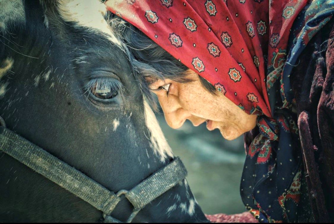 فیلم سینمایی «بی همه چیز» از روز پنجشنبه در سینماهای اقلیم کردستان عراق اکران می‌شود

