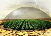 ایجاد ۲ هزار شغل در خراسان شمالی با تسهیلات بانک توسعه تعاون


