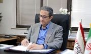 معدن و صنایع معدنی، الگوی پایداری و مسئولیت پذیری در شرایط خاص