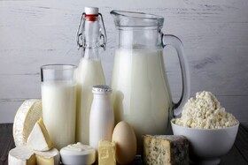 افزایش خودسرانه قیمت لبنیات 
