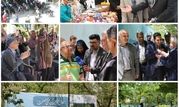 بوستان ۲۲ بهمن، صحنه‌ای از شور و نشاط توان‌یابان شهر تهران 

