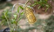 بوستان دوستدار کودک، میزبان رویش ۴۵ نهال زندگی 

