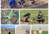 دیدار مدیرعامل بانک سپه با استاندار آذربایجان شرقی

