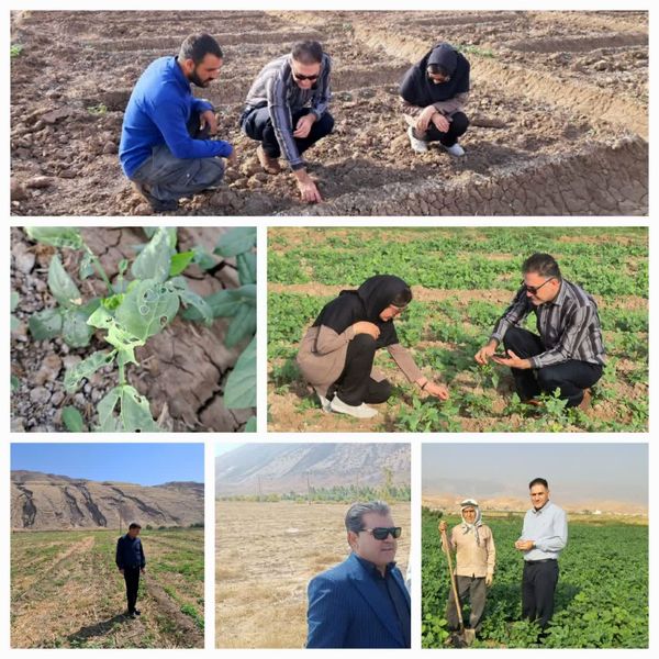 دره شهر در مسیر کشاورزی علمی