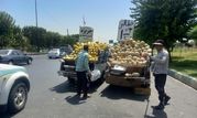 ‍ ساماندهی صنوف و ارتقای انضباط شهری در منطقه ۱۹

