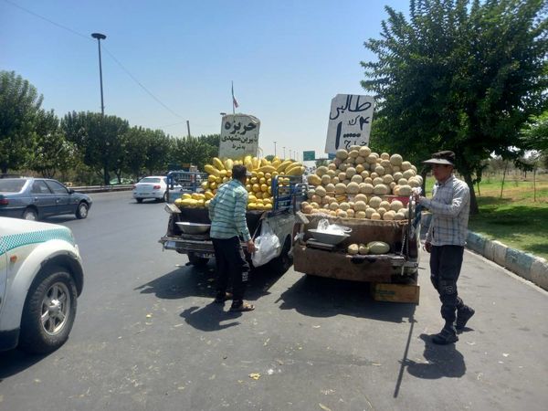  ساماندهی صنوف و ارتقای انضباط شهری در منطقه ۱۹