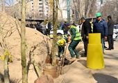 بازسازی نهر باغچه خیابان ولیعصر (عج) با اولویت حفظ درختان چنار کهنسال