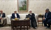 دیدار محمدرضا عارف با مهدی کروبی