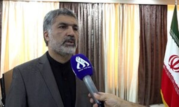  ۵۰۷ موکب ایرانی در نجف اشرف فعالیت می‌کنند

