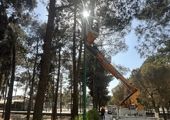 نصب پرژکتورهای روشنایی بوستان‌های منطقه ۱۹ به ۵۷۲ عدد رسید


